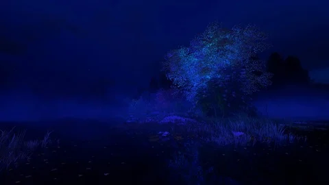 Ultraviolet Spring Night 01 Stock-Footage 126182961