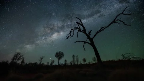 Ultrawide milky way time lapse of night sky over dead tree 8K Stock Footage 130682319