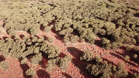 Uluru / Ayers Rock in Central Australia - Aerial Panoramic Drone Shot at sun set Video stock 138331011