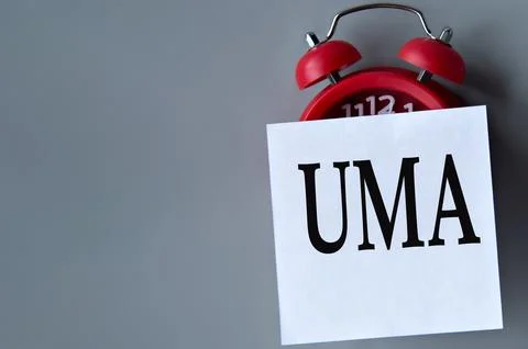 UMA (Unified memory access} - acronym on a white piece of paper on a gray bac Stock Photos