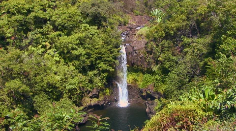 Umauma Falls Stock Footage 32206596