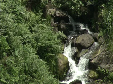 Umauma River Waterfall Video stock 22243276