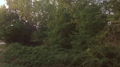 Umbertide,Italy Stock Footage 79881435