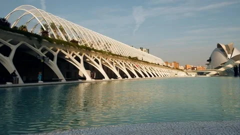 Umbraculum Stock Footage 138082750