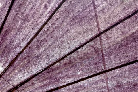 Umbrella background Stock Photos