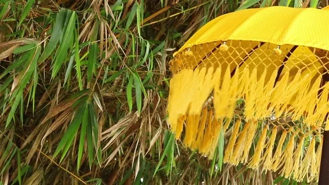 Umbrella, bamboo and wind Stock Footage 72472650