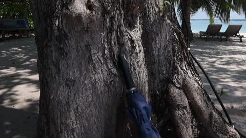 Umbrella on the beach Stock Footage 170116887