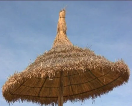  umbrella Stock Footage 608961