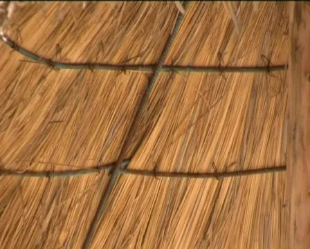 Umbrella Stock Footage 608972