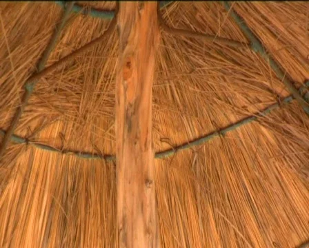 Umbrella,  Stock Footage 608977