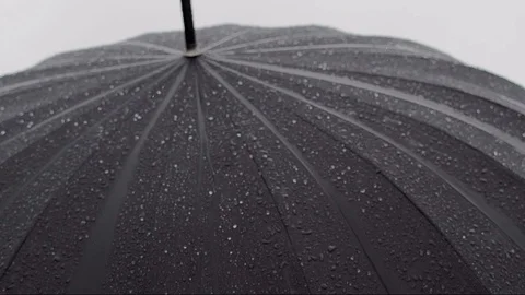 Umbrella 動画素材 105615231