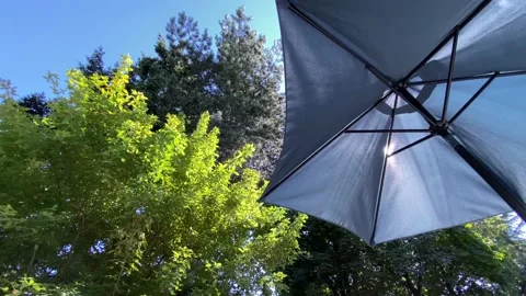 Umbrella Stock Footage 135618156