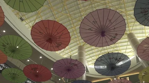 Umbrella Video stock 205169000