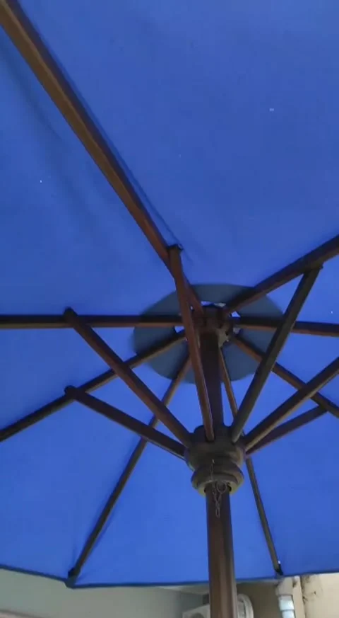 Umbrella Stock Footage 208368109