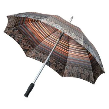 Umbrella Stock Illustration