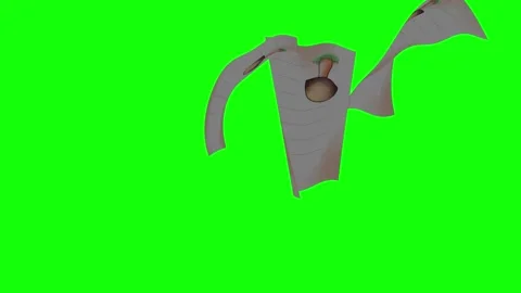 Umbrella Looping with Man Isolated Green Screen Stock Video Stock Footage 337990486