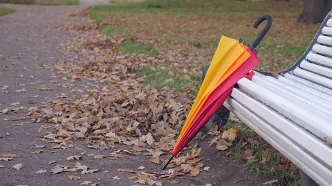 Umbrella near bench in autumn park Stock Footage 97202853