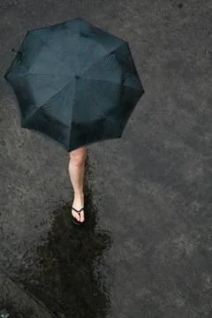 Umbrella Stock Photos