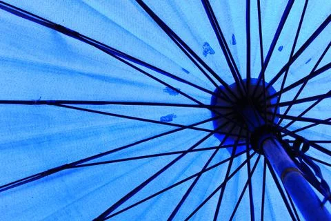 Umbrella Stock-Fotos