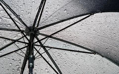 Umbrella Foto stock