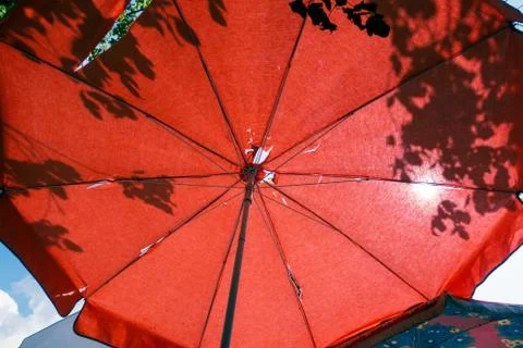 Umbrella Stock Photos