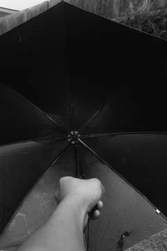 An umbrella Stock Photos