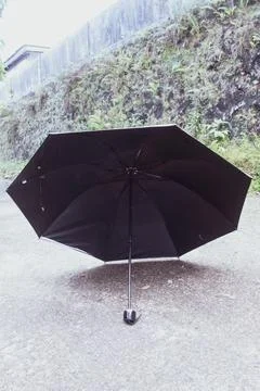 An umbrella Foto stock