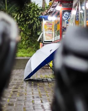 Umbrella Stock Photos