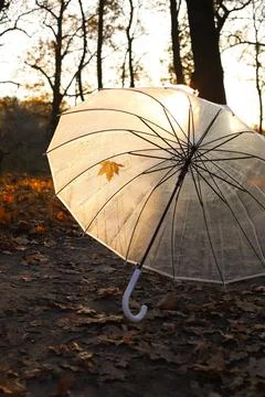 Umbrella Foto stock