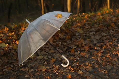 Umbrella Stock Photos