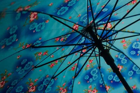 Umbrella Foto stock