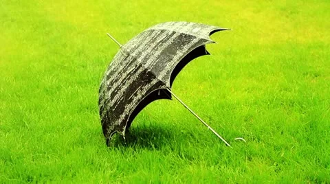 Umbrella protects grass from rain Stock Footage 20530395