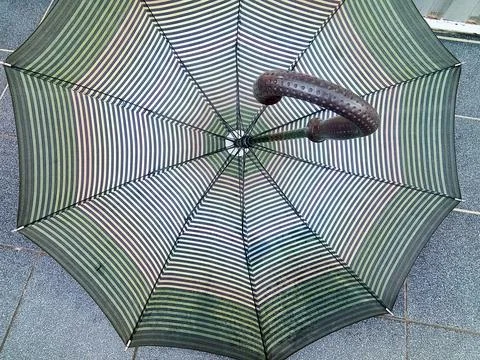 Umbrella for rain - object Fotos Stock
