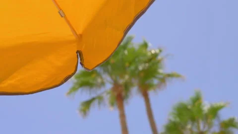 Umbrella surrounded by palm trees in 4k slow motion 60fps Video stock 131015667