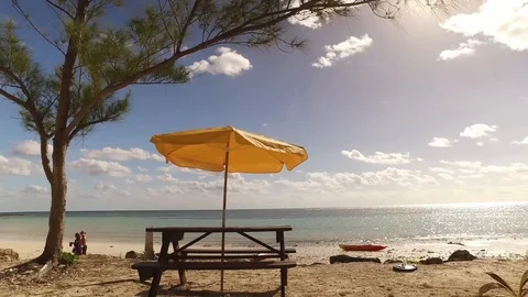 Umbrella Table Sting Ray Beach Freeport Stock Footage 99521400
