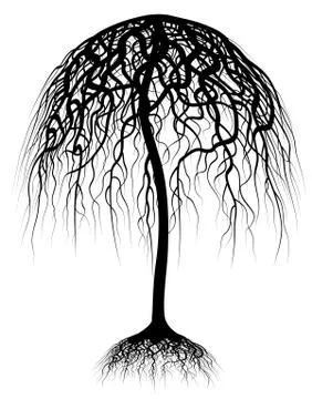 Umbrella tree Stock-Illustration