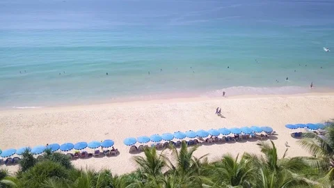 Umbrellas and coconut trees is located beachside at  Phuket Thailand country. 库存影片 83333799