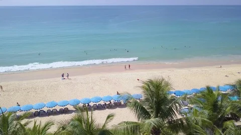 Umbrellas and coconut trees is located beachside at Phuket Thailand country. Видео 83333809
