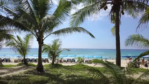 Umbrellas and coconut trees is located beachside at  Phuket Thailand country. 库存影片 83333973