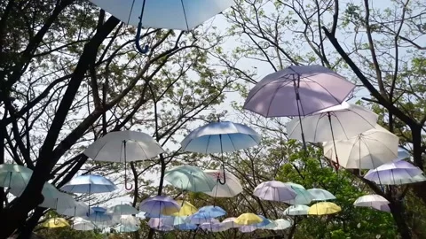 Umbrellas are used as decorations Stock Footage 130522852