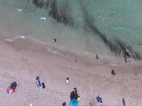 Umbrellas on the beach aerial Stock Footage 78543455
