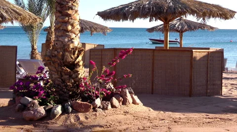 Umbrellas on the beach  Stock Footage 1216435