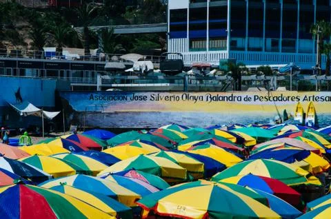 Umbrellas on the beach 스톡 사진