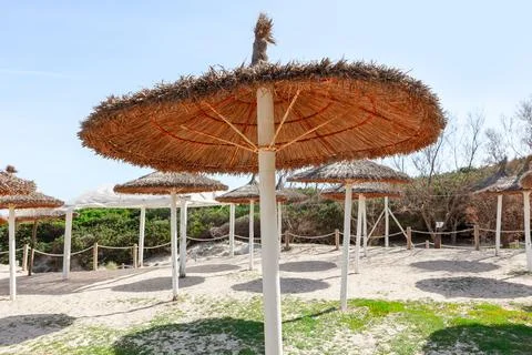 Umbrellas at a beach Stock Photos