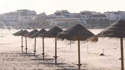 Umbrellas on beautiful summer beach Video stock 116725837