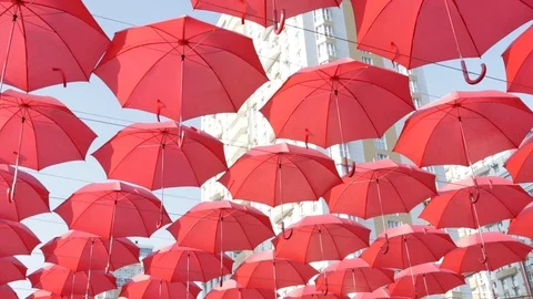 Umbrellas Stock Footage 115694179