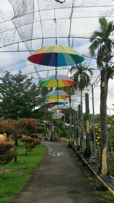 Umbrellas hanging in the garden Stock Footage 297561071
