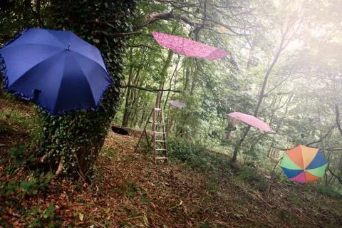 Umbrellas hanging in trees Photos
