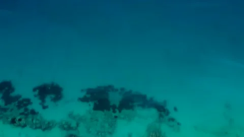 Umbrellas lined up on the sandy beach by the turquoise sea Video stock 203820877