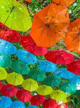 Umbrellas at The Miracle Garden Stock Photos
